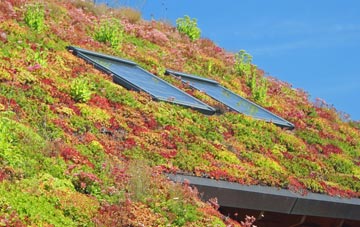 Kettlesing Bottom living roof systems