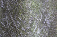 Kettlesing Bottom fibreglass roof work